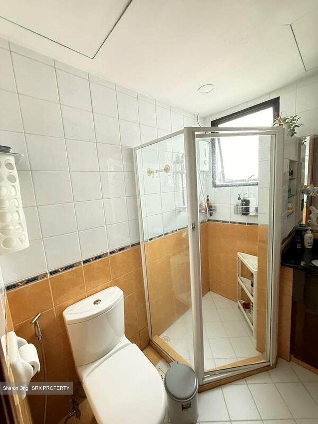 Central Grove (D14), Condominium #503112211